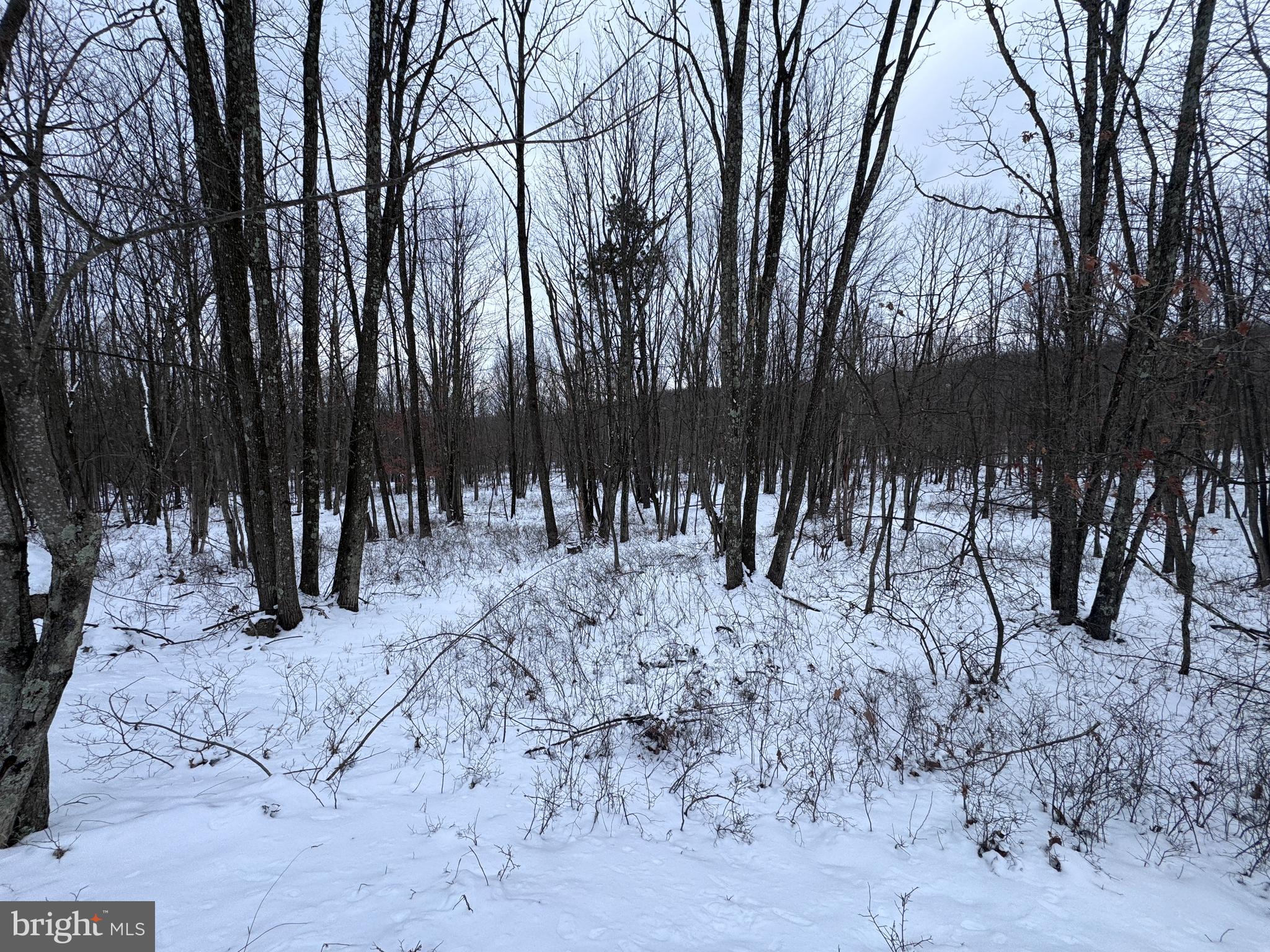EAGLE ROCK RESORT - Land
