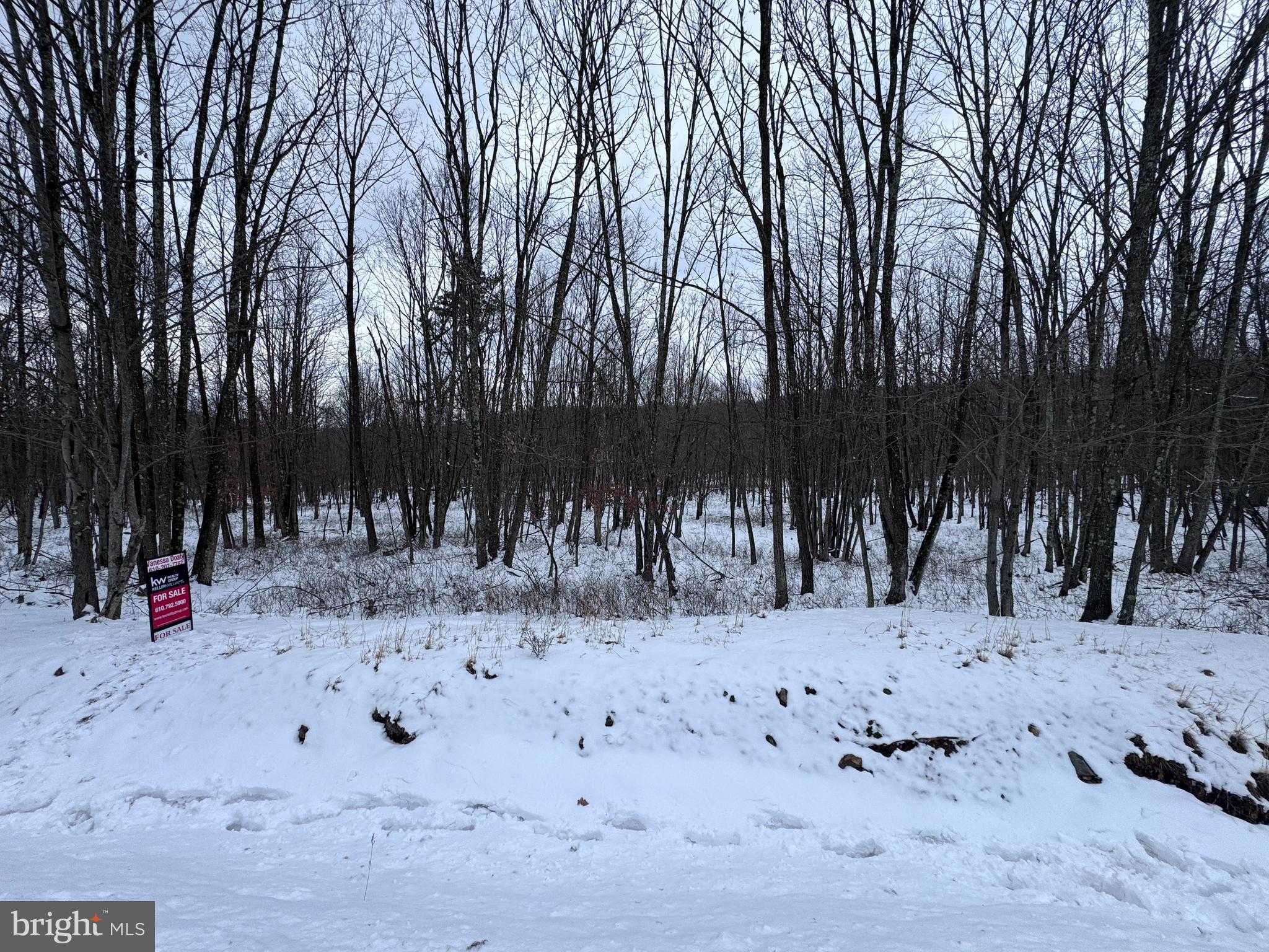 EAGLE ROCK RESORT - Land