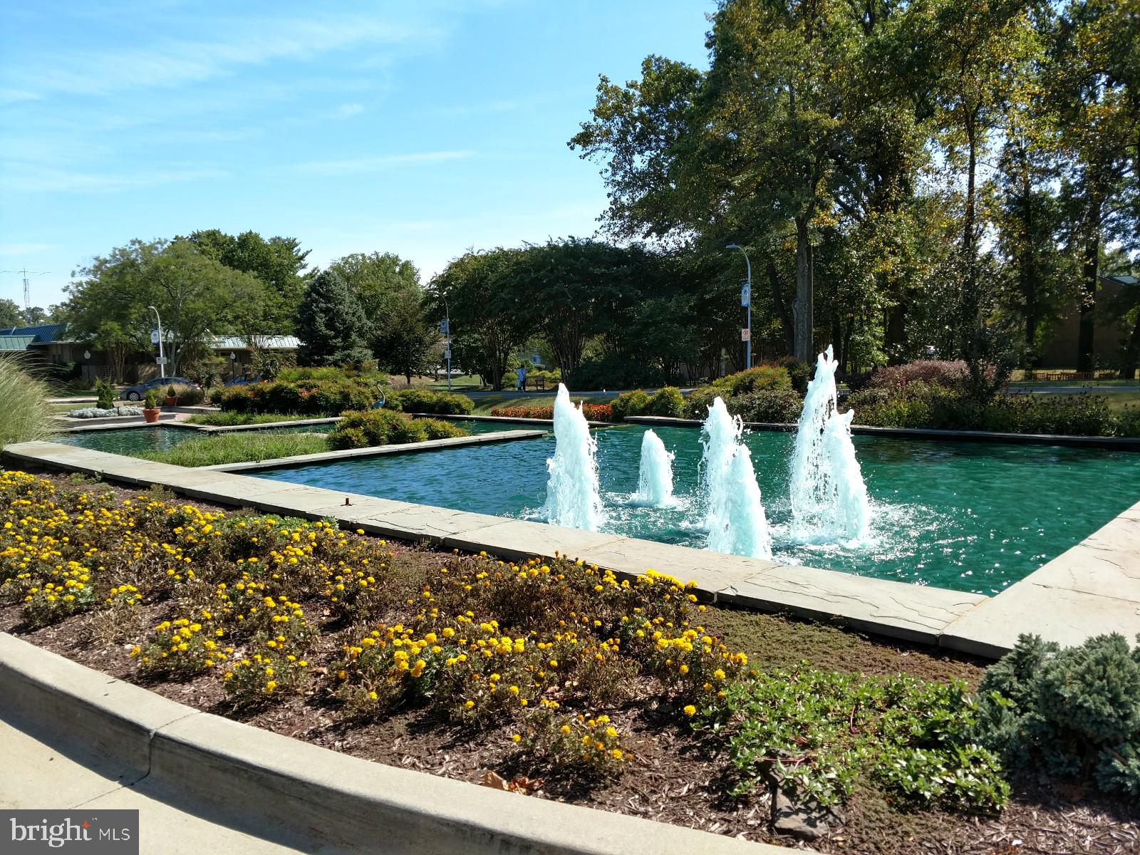 GREENS AT LEISURE WORLD - Residential