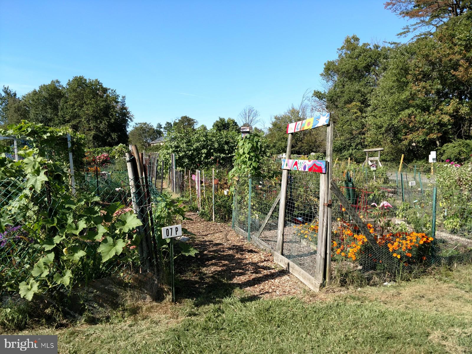 GREENS AT LEISURE WORLD - Residential