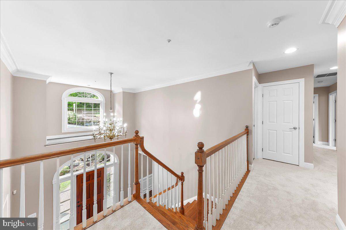 RUNNYMEADE FARMS - Residential
