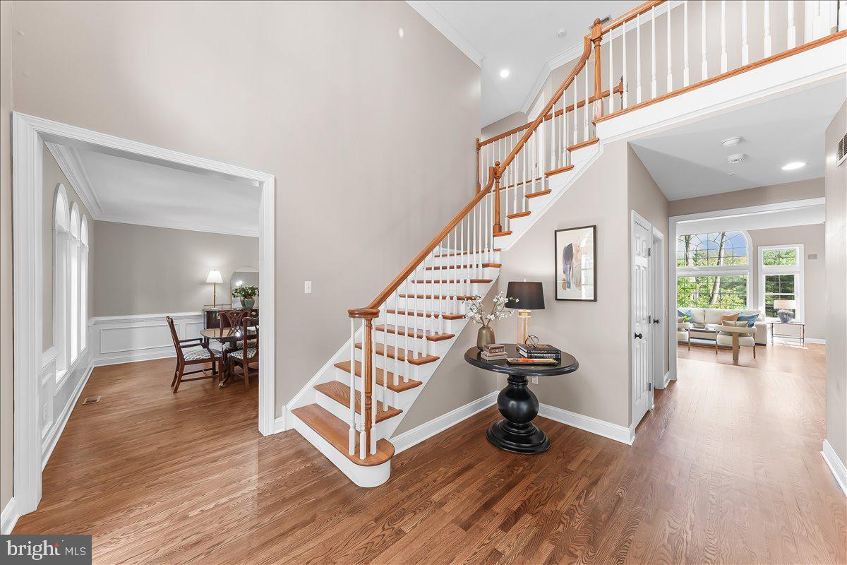 RUNNYMEADE FARMS - Residential