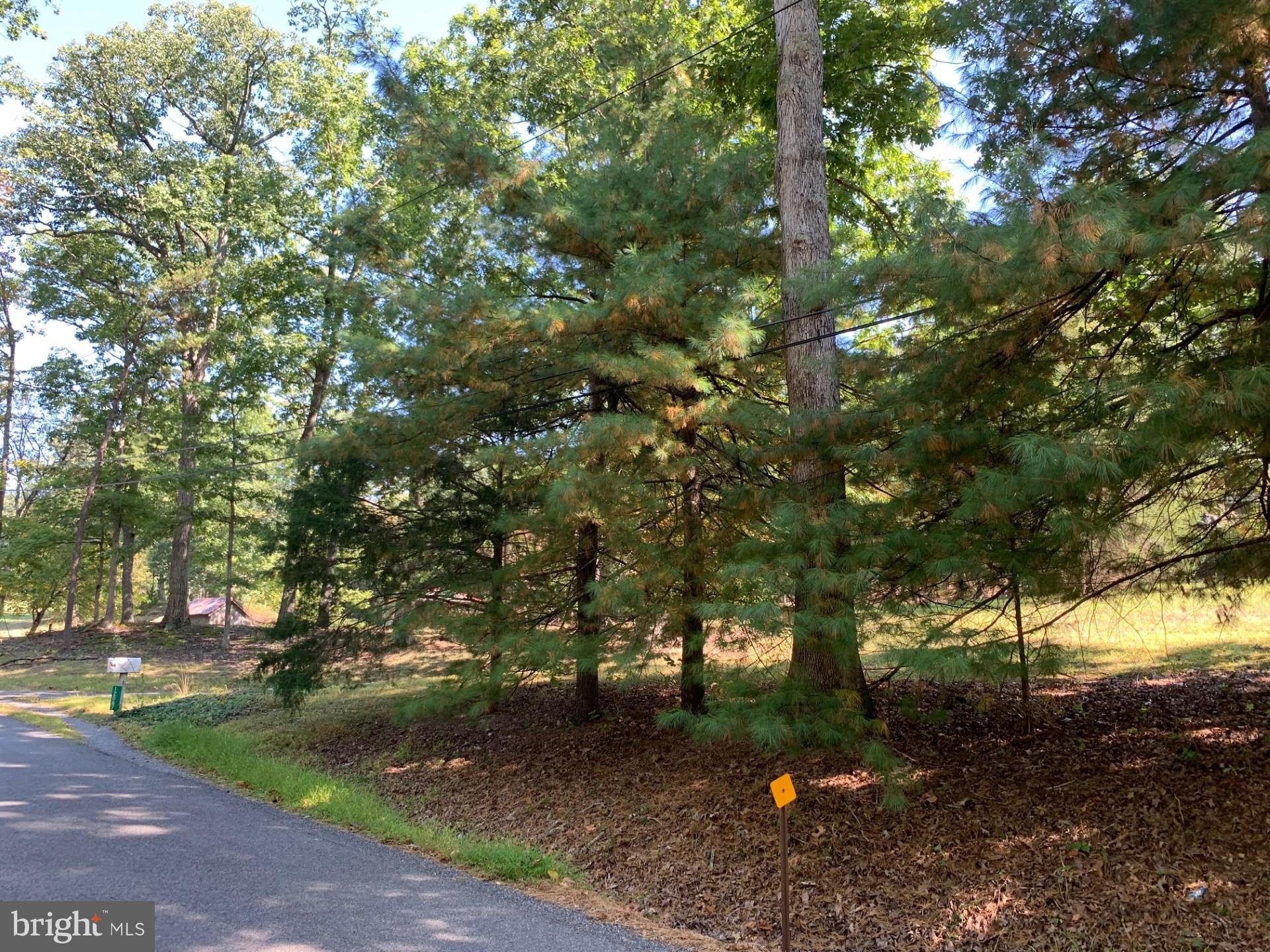 CLEAR SPRING - Residential