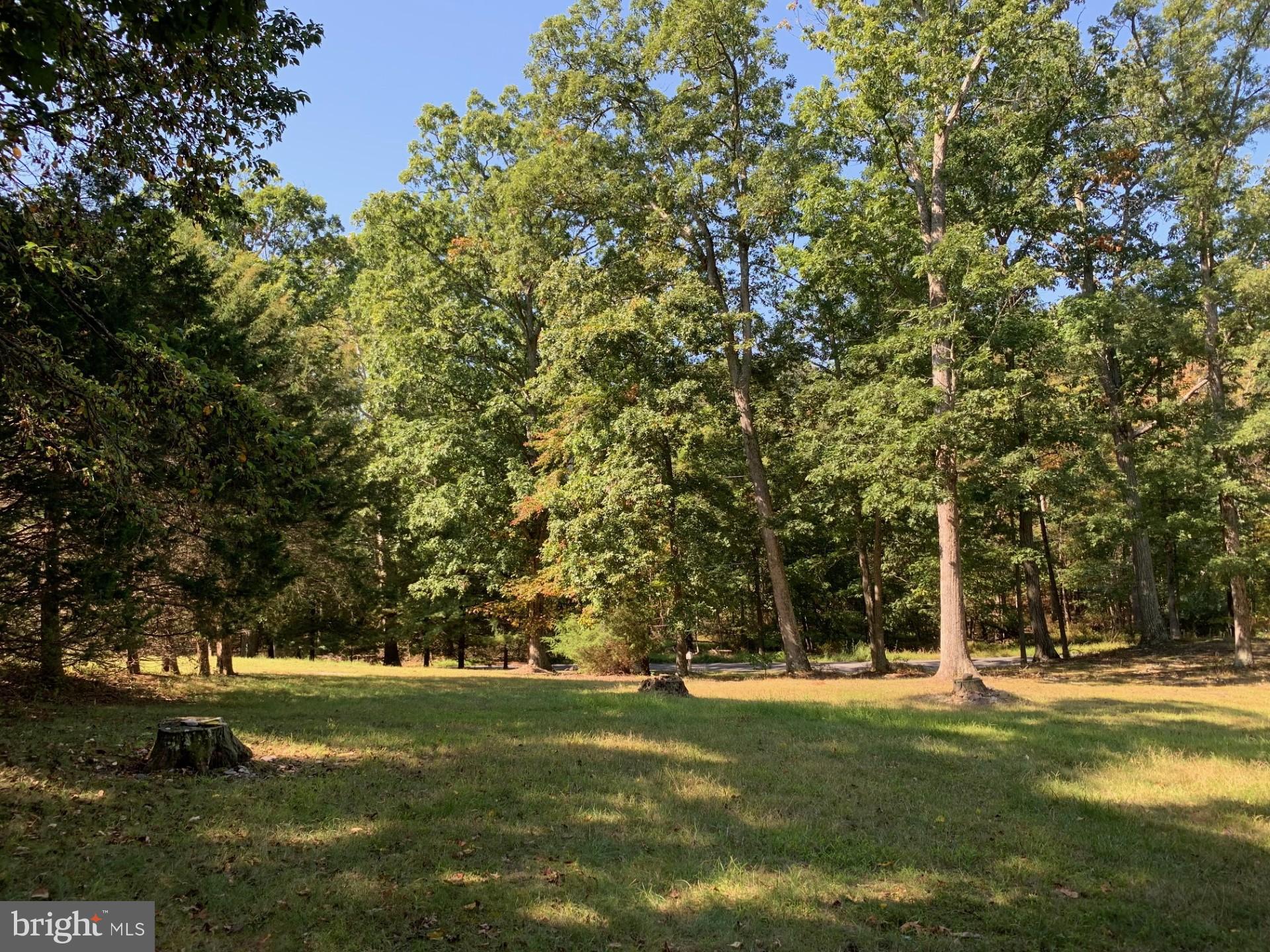 CLEAR SPRING - Residential