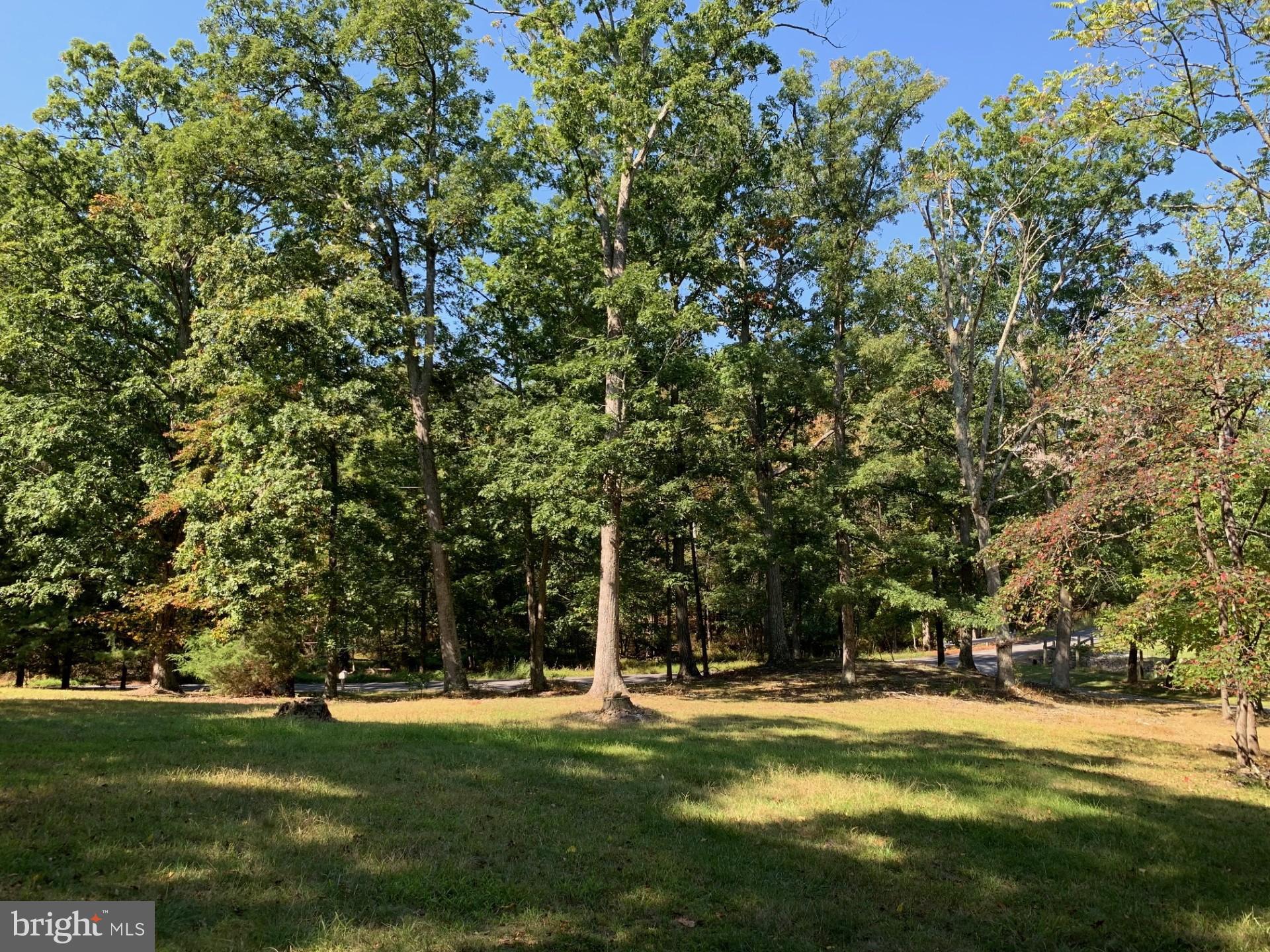 CLEAR SPRING - Residential