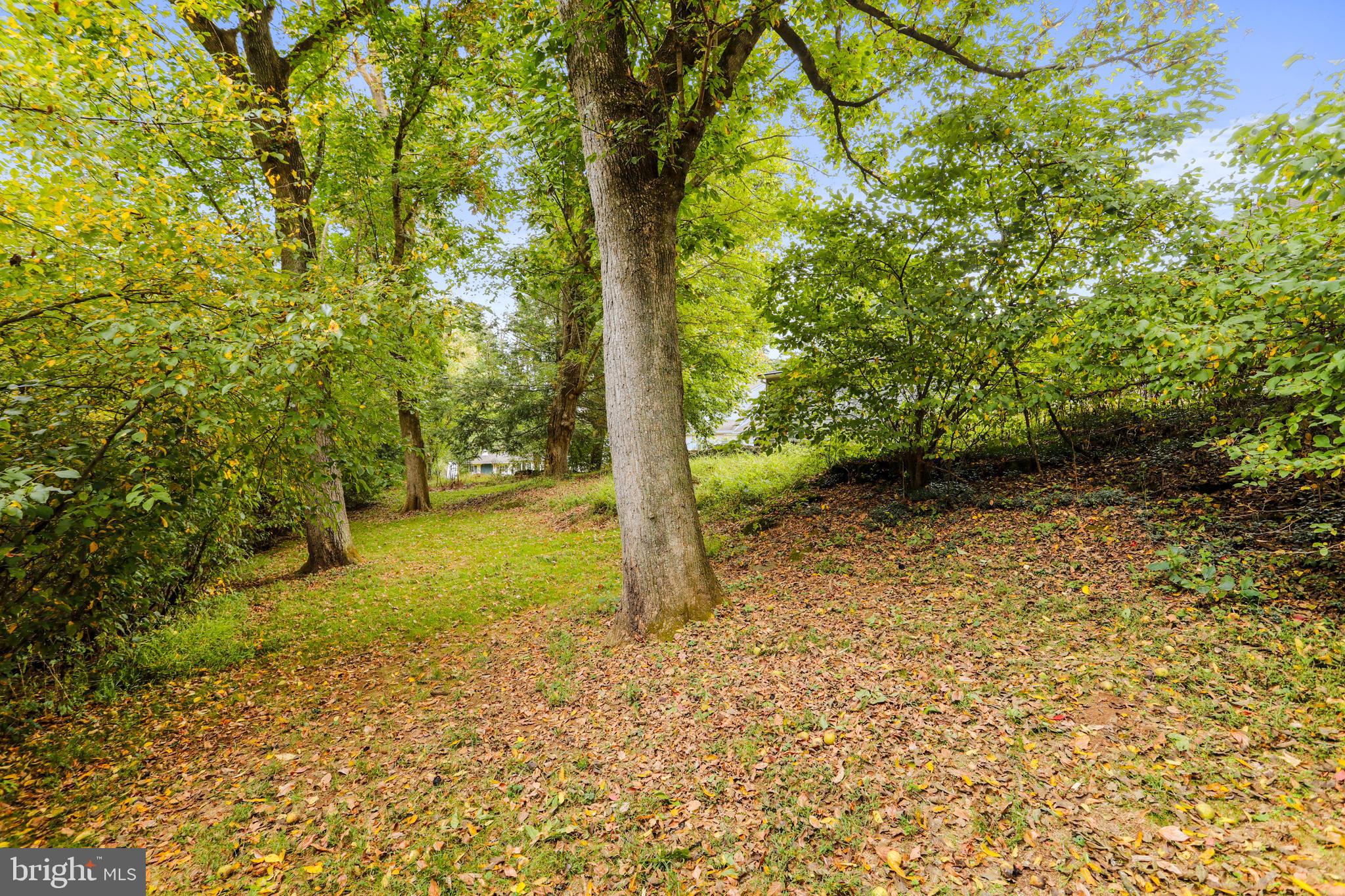 RIDGE VALLEY - Residential