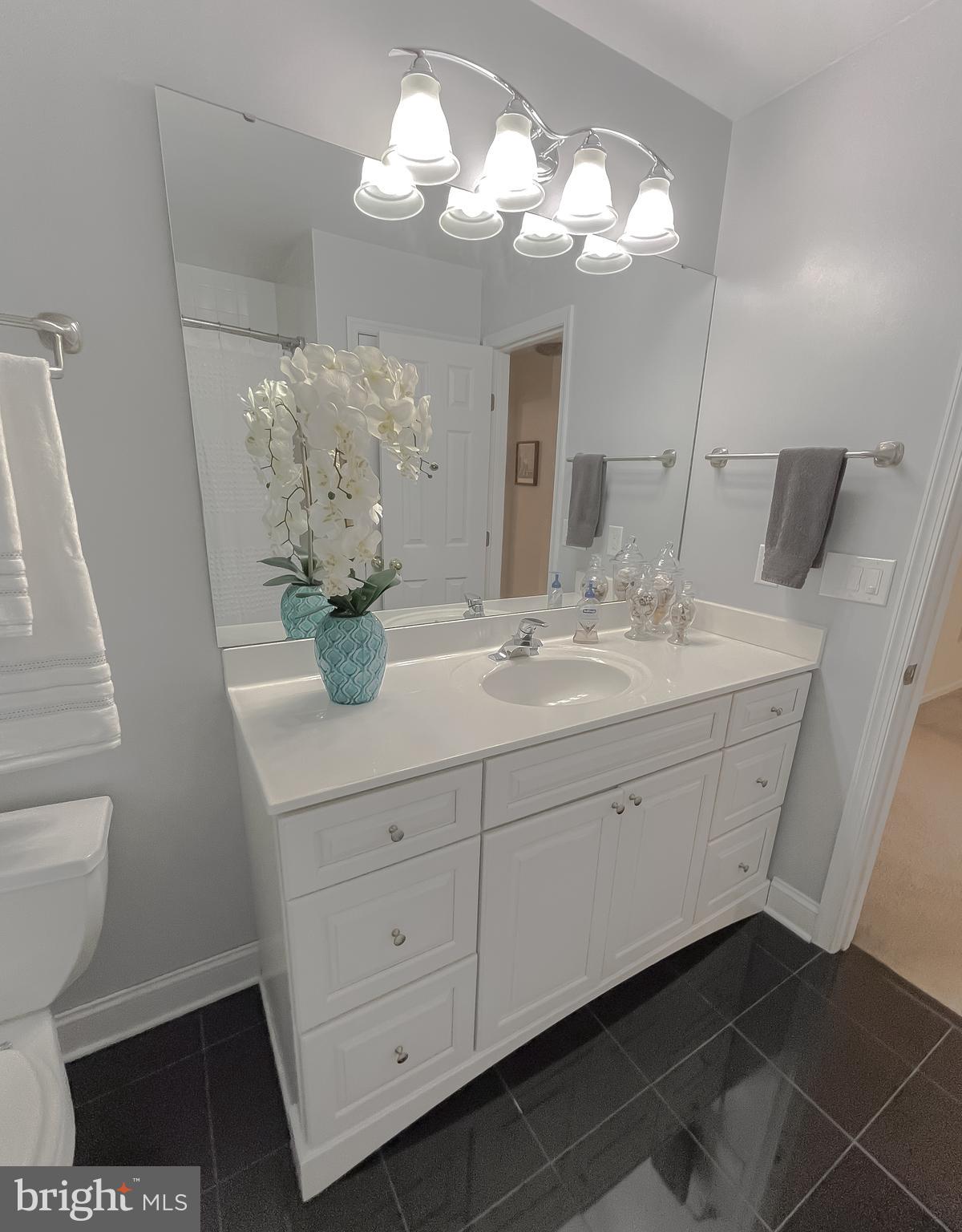 CHESTNUT RIDGE - Residential