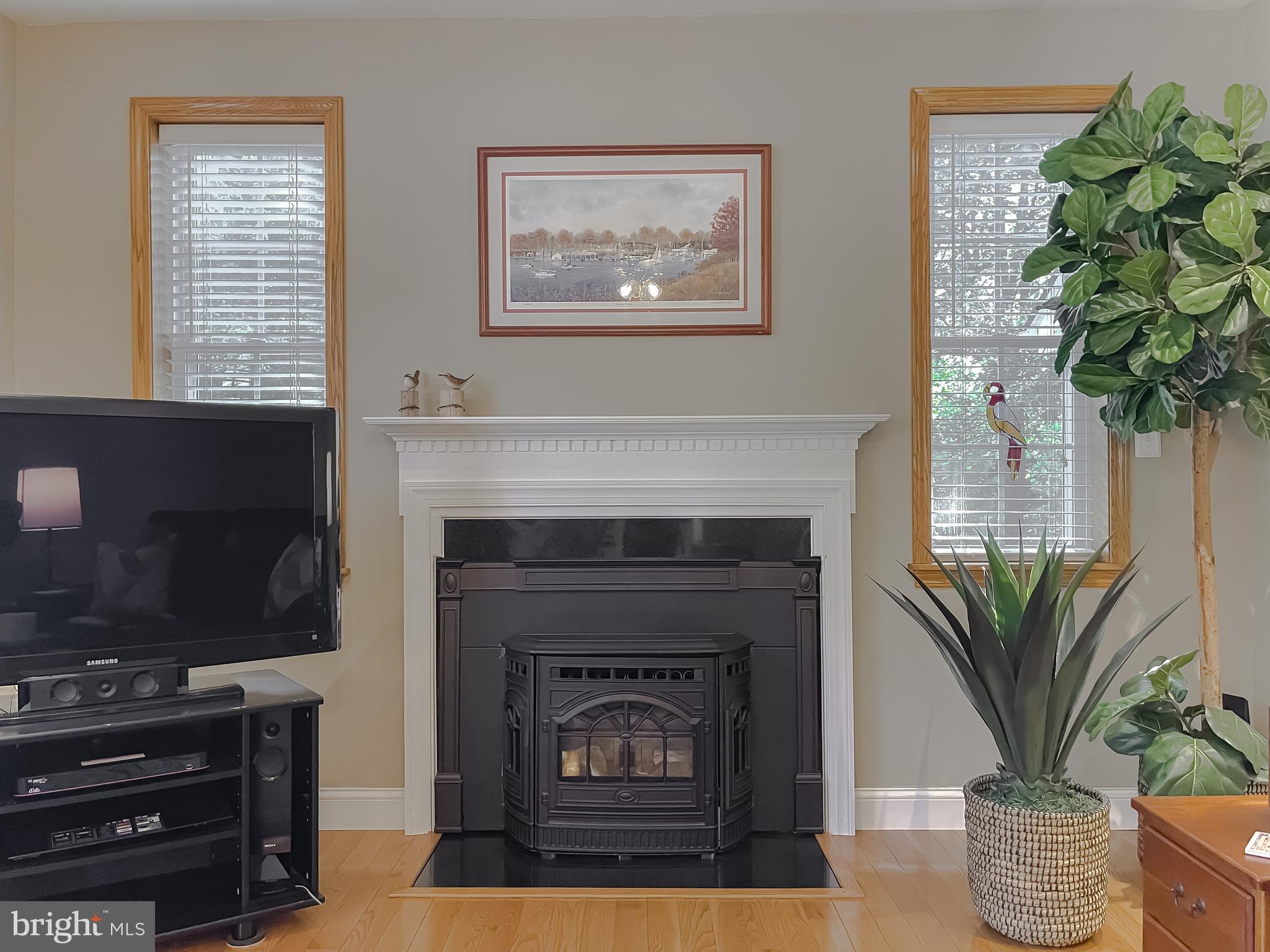 CHESTNUT RIDGE - Residential