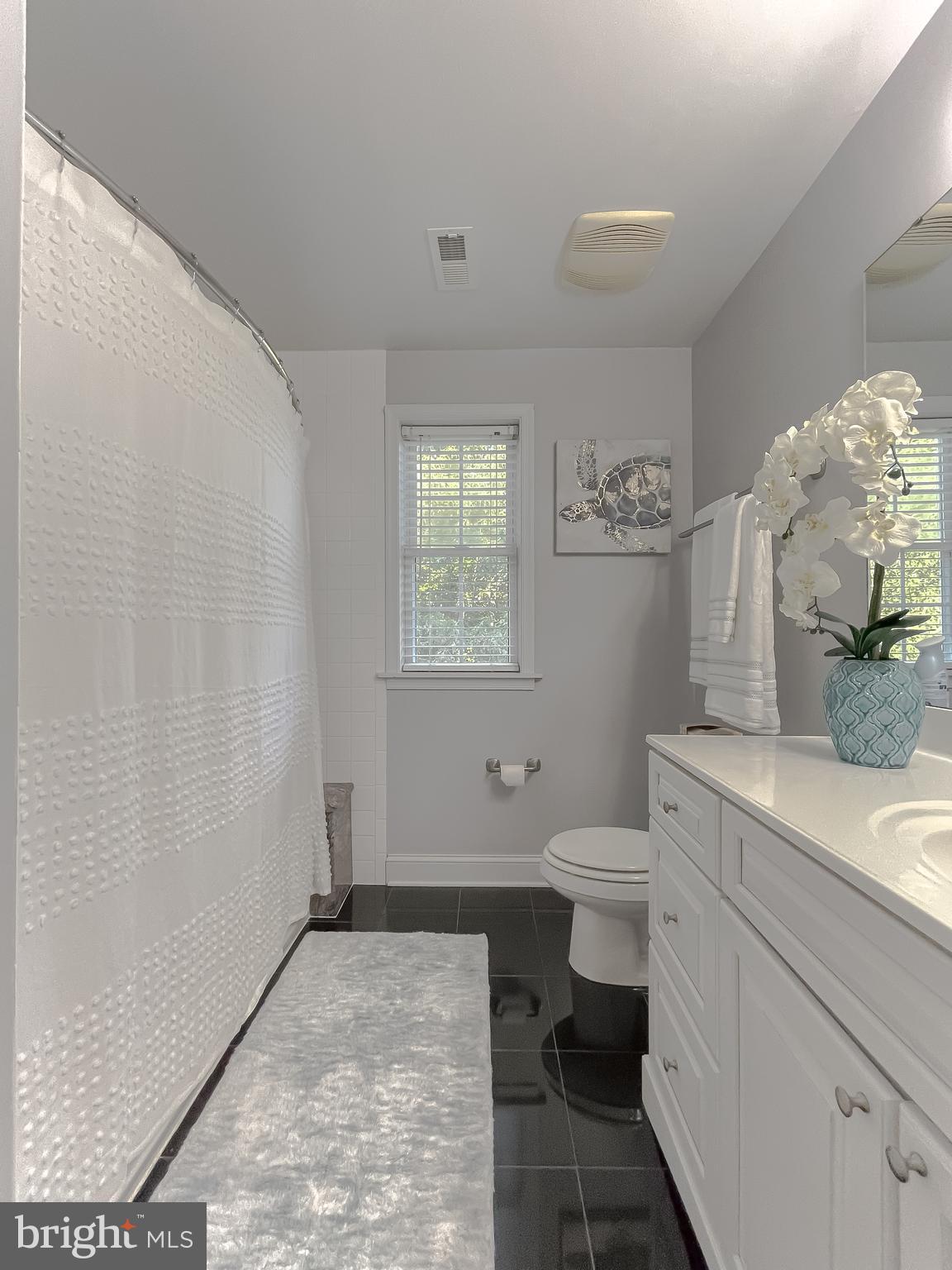 CHESTNUT RIDGE - Residential