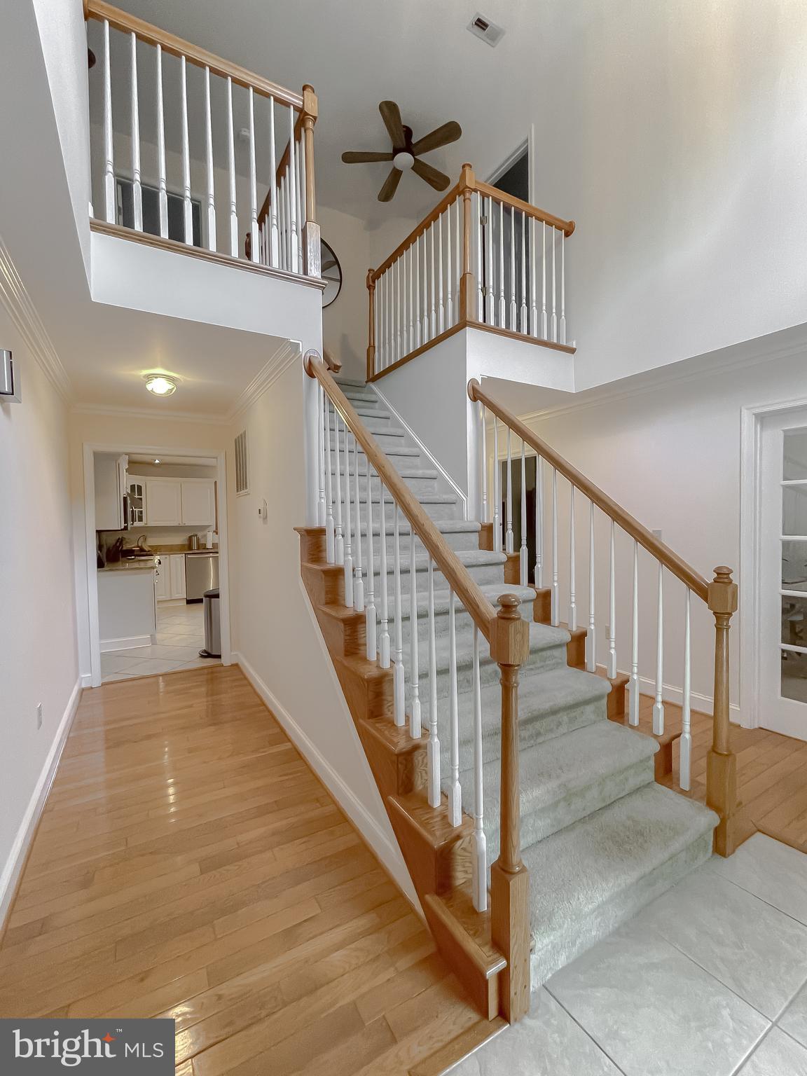 CHESTNUT RIDGE - Residential