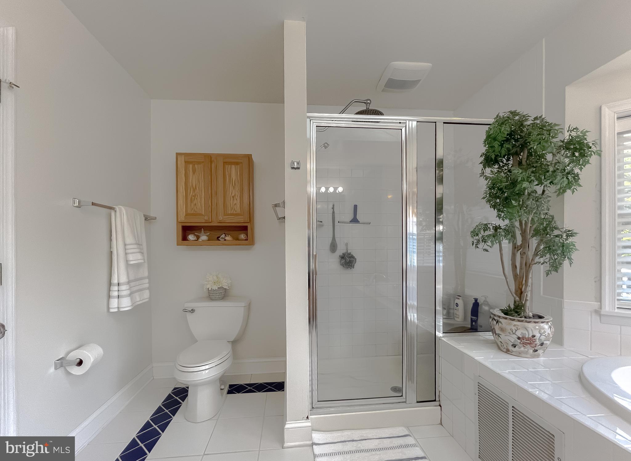 CHESTNUT RIDGE - Residential