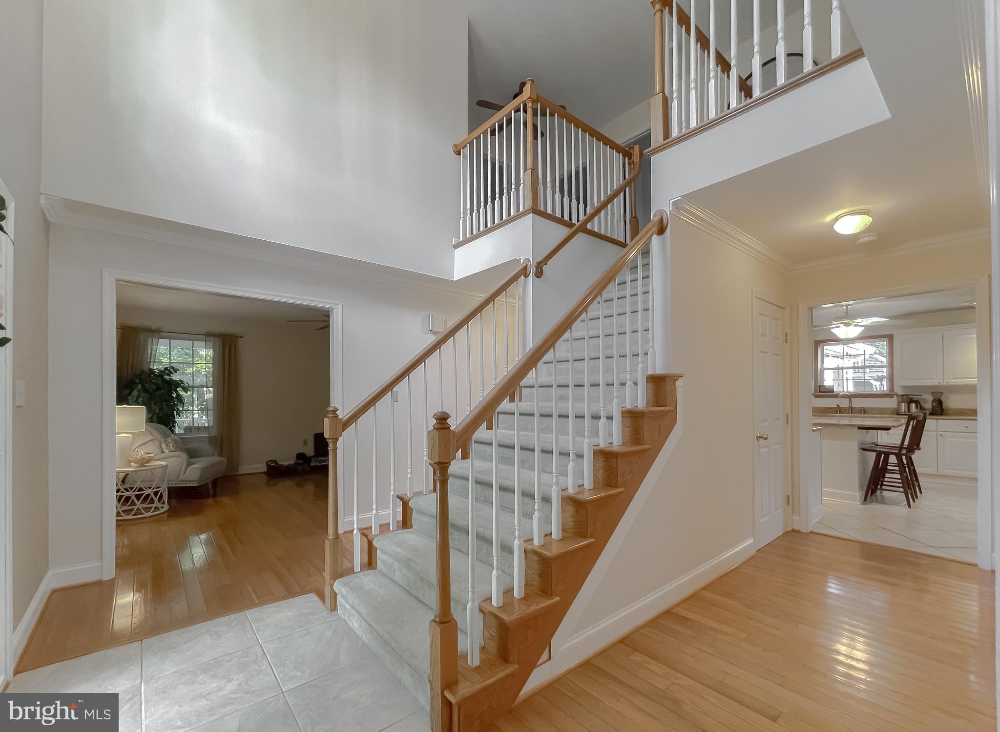 CHESTNUT RIDGE - Residential