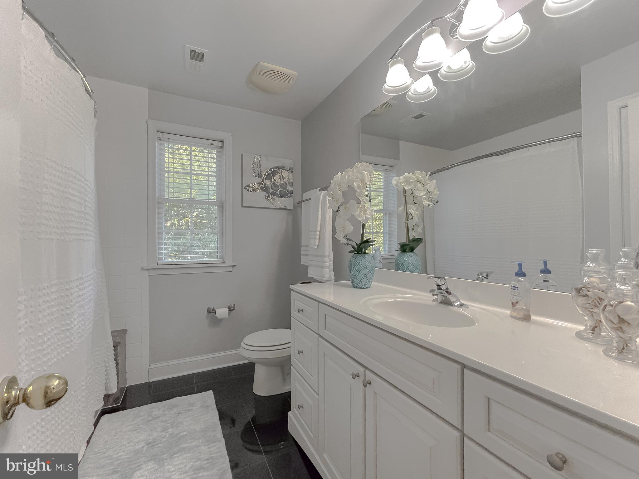 CHESTNUT RIDGE - Residential