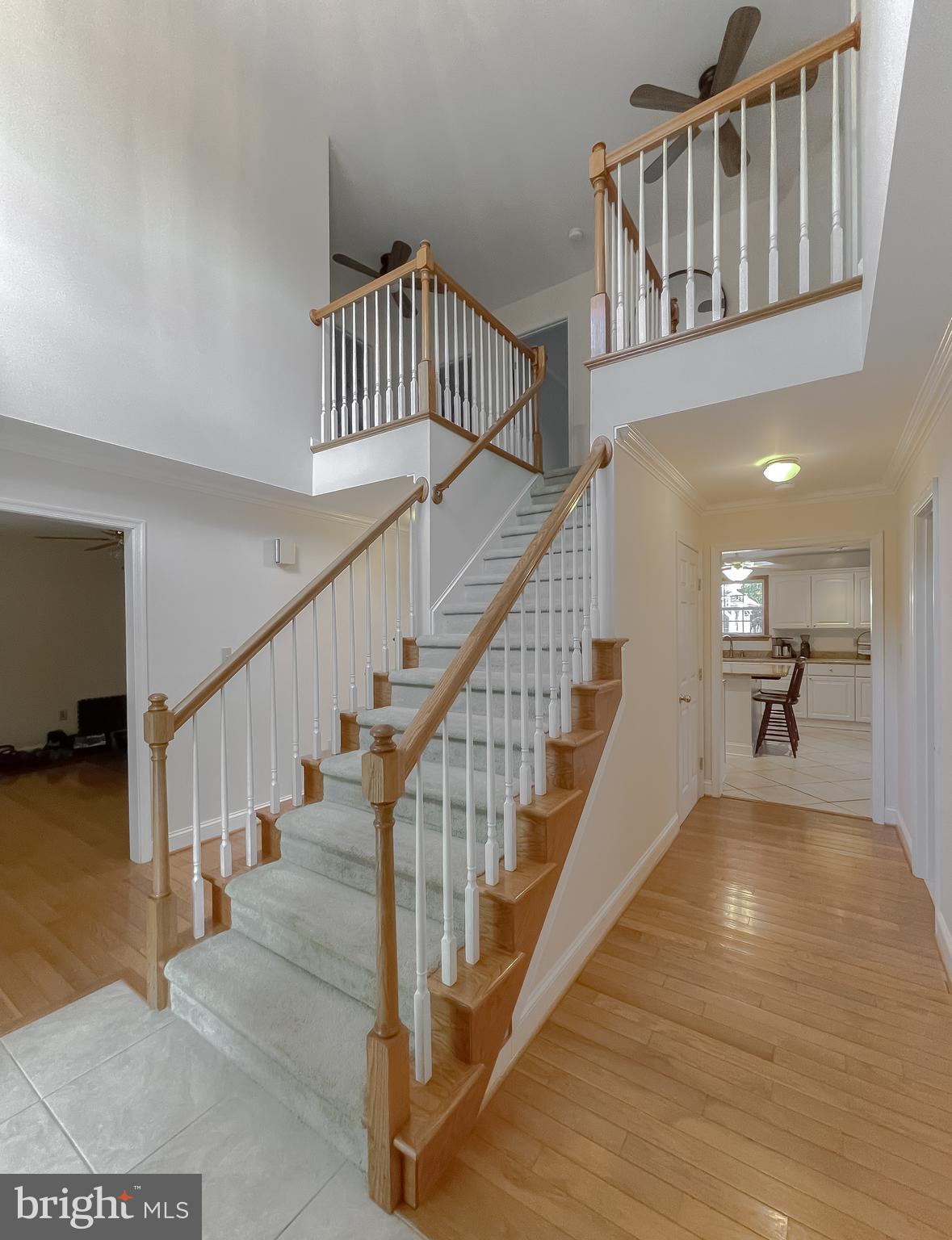 CHESTNUT RIDGE - Residential