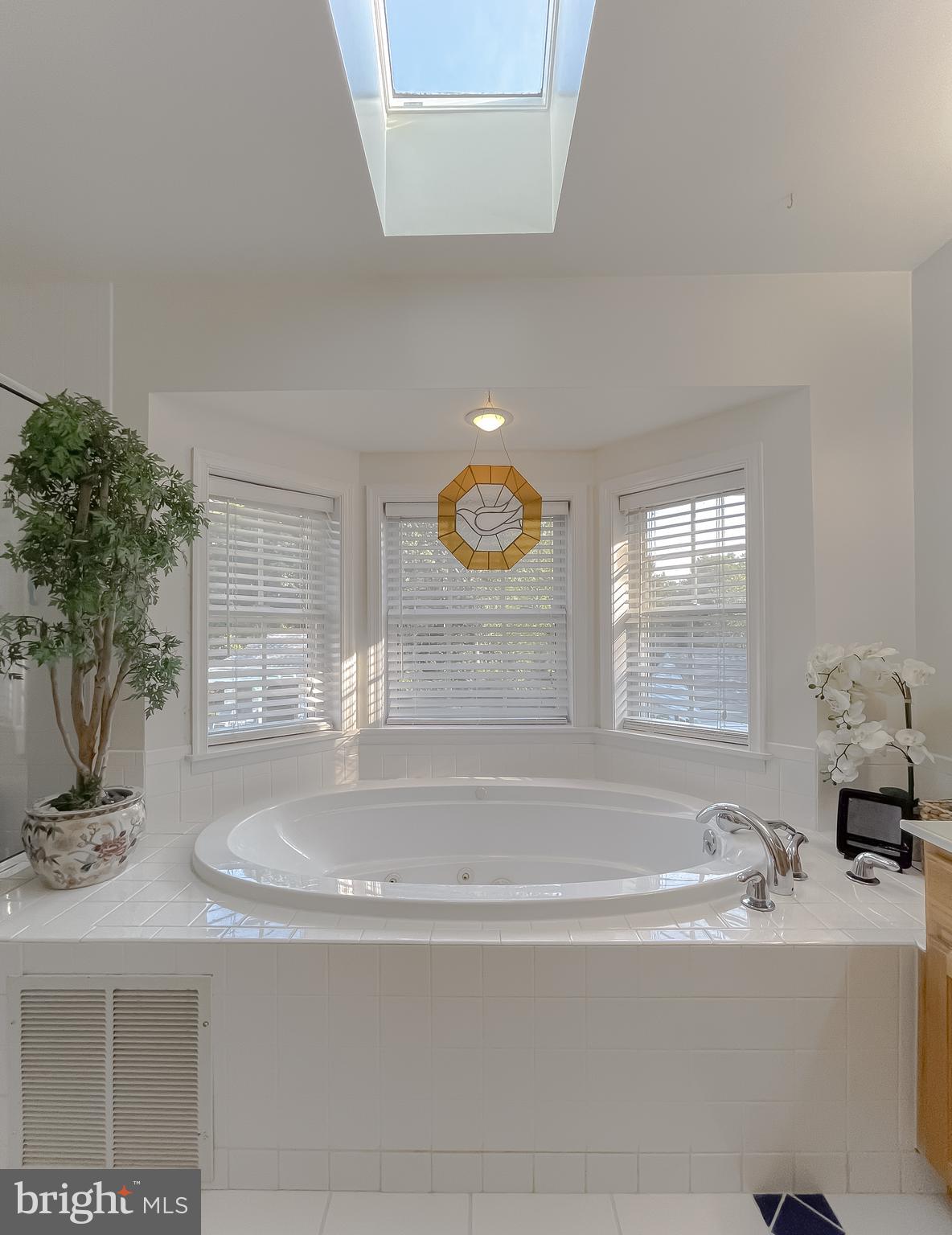 CHESTNUT RIDGE - Residential