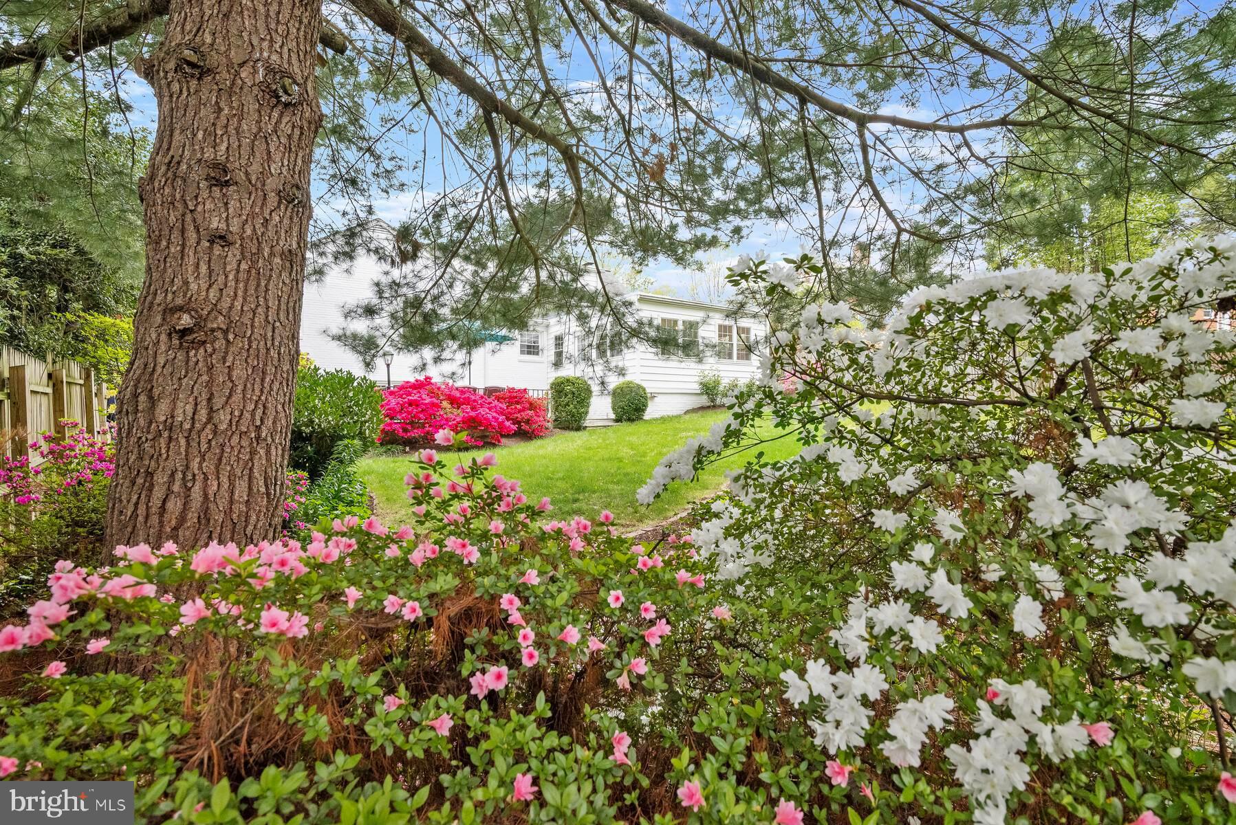 SPRINGFIELD - Residential