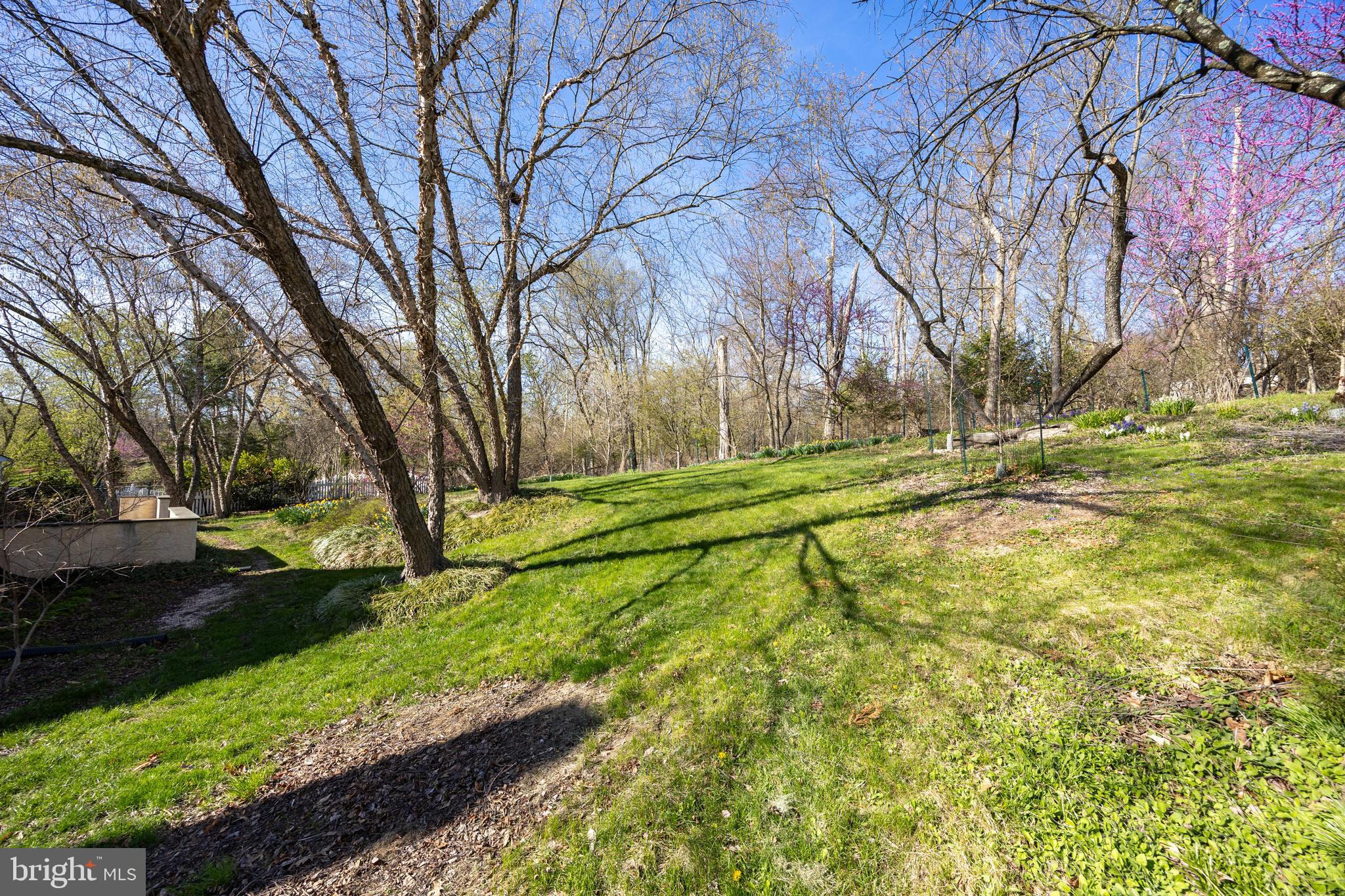 AUDUBON RIDGE - Residential