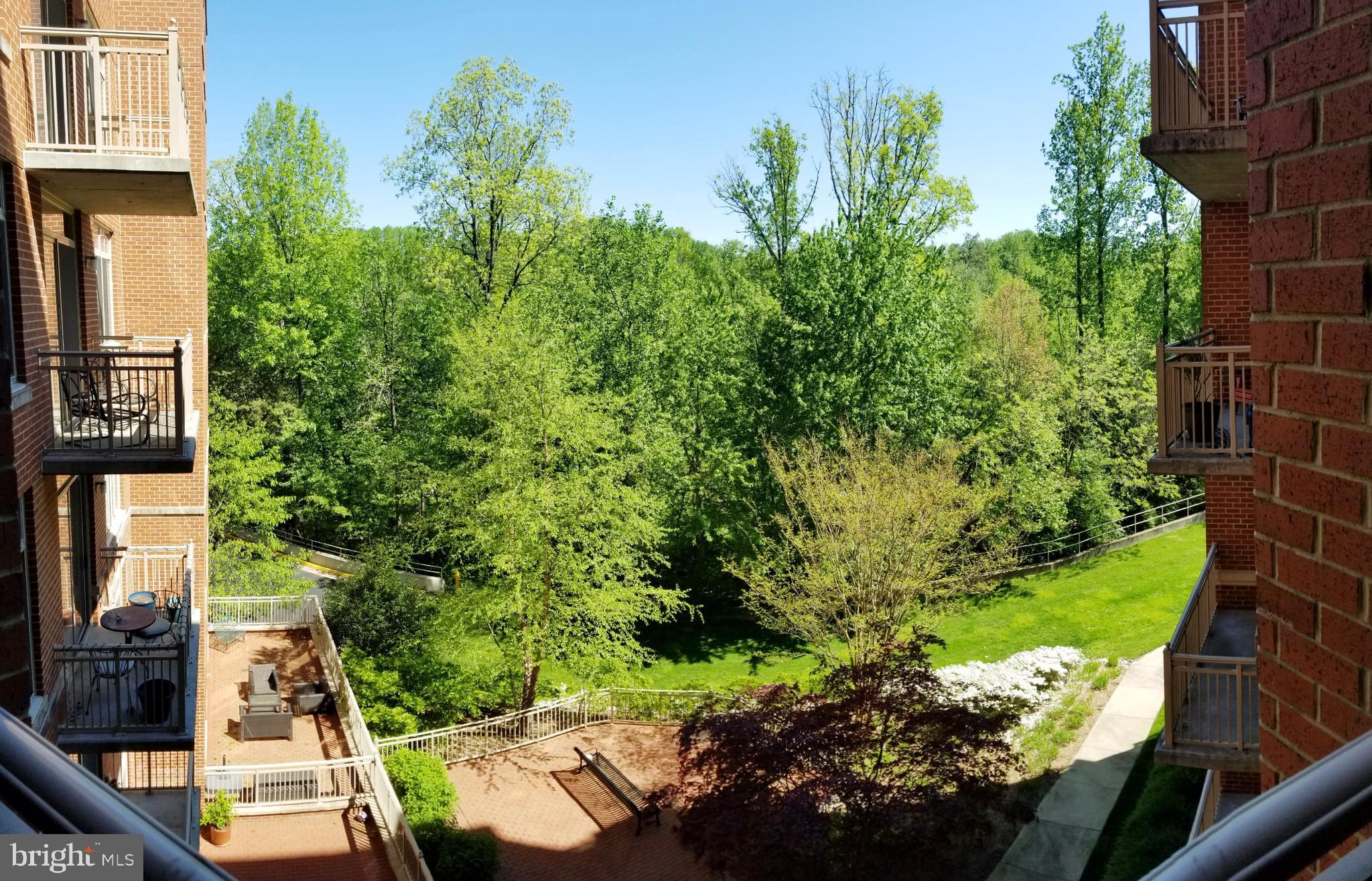 ELAN AT EAST MARKET - Residential Lease