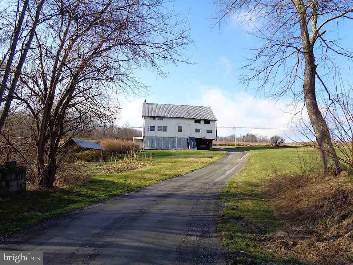 NONE AVAILABLE - Farm