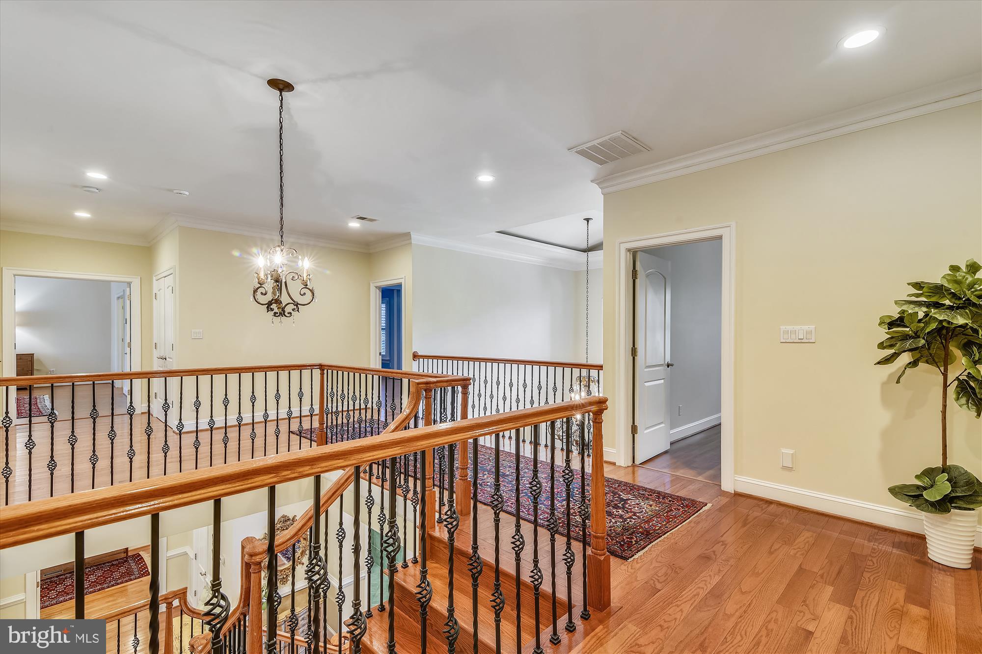 OLD DOMINION GARDENS - Residential