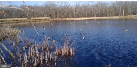 Vacant Land For Sale - 13235 Knotts Ln<br/> GOLTS, MD 21635