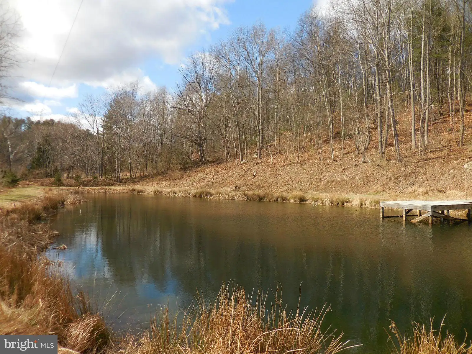 4697 Gooney Manor Loop, Bentonville, VA 22610