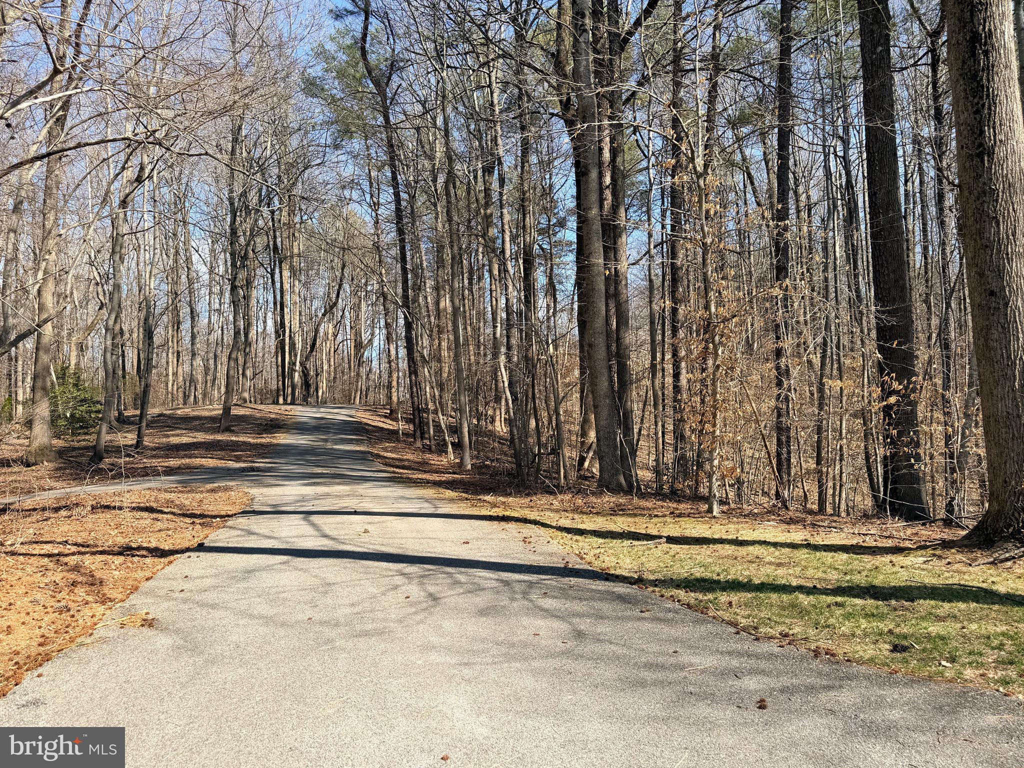 OWEN SOPER WOODS - Residential