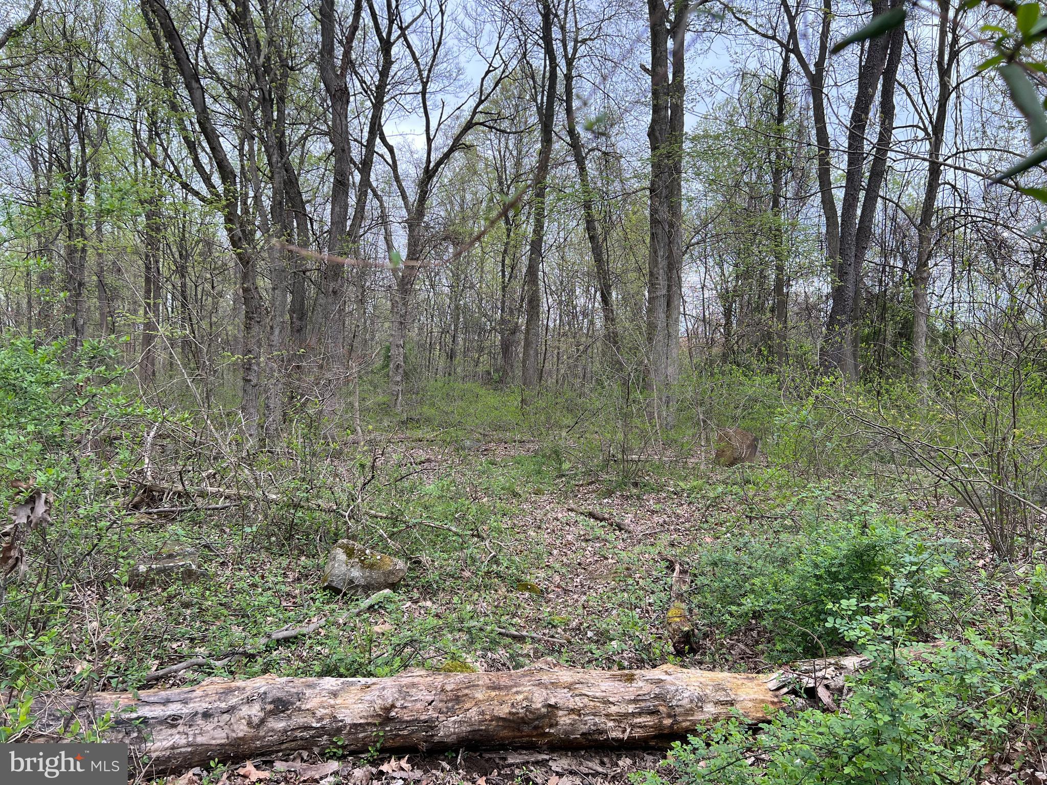 1005 TRAIL ROAD N