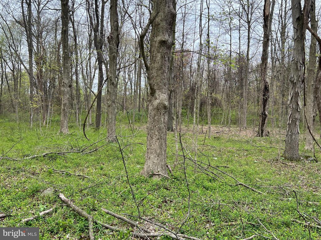 Photo of 1005 Trail Road N, ELIZABETHTOWN, PA 17022 (MLS # PALA2055366)