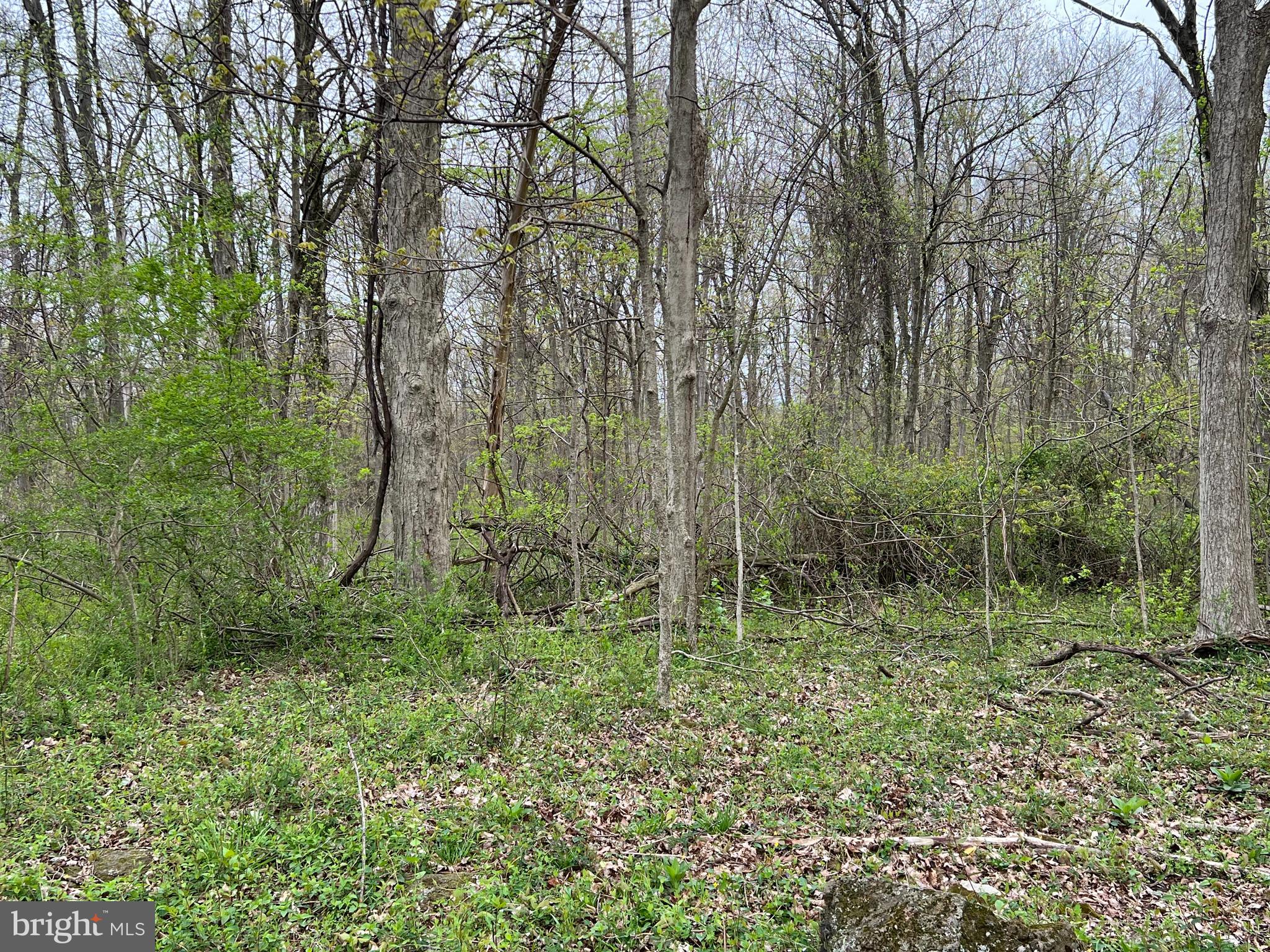 1005 TRAIL ROAD N