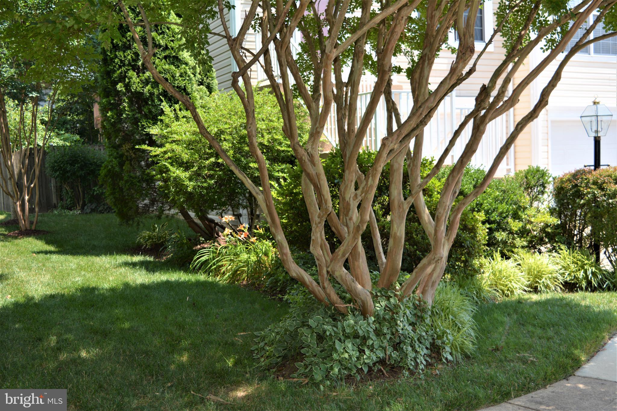 COMPTON VILLAGE - Residential