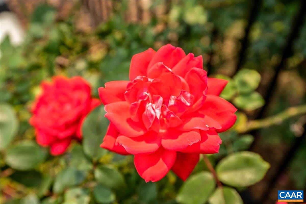 SPRING CREEK - Residential