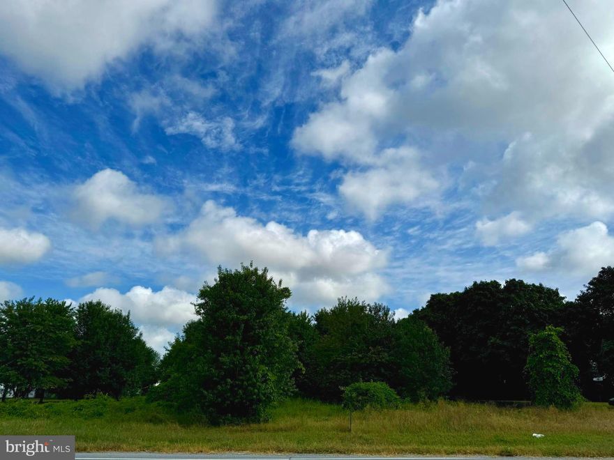 Discover the perfect canvas for your dream home with this expansive 1.86-acre parcel of land in the charming town of Milford, Delaware. Nestled in a serene setting, this property offers a unique opportunity to create a personalized retreat surrounded by nature.