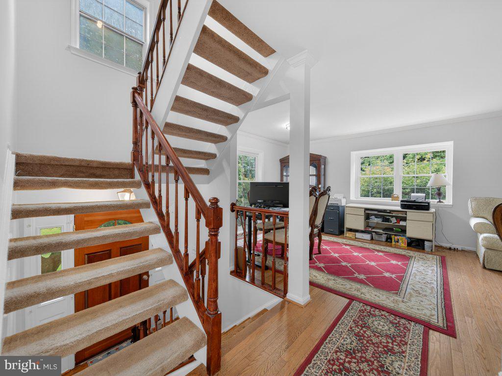 BURKE VILLAGE - Residential