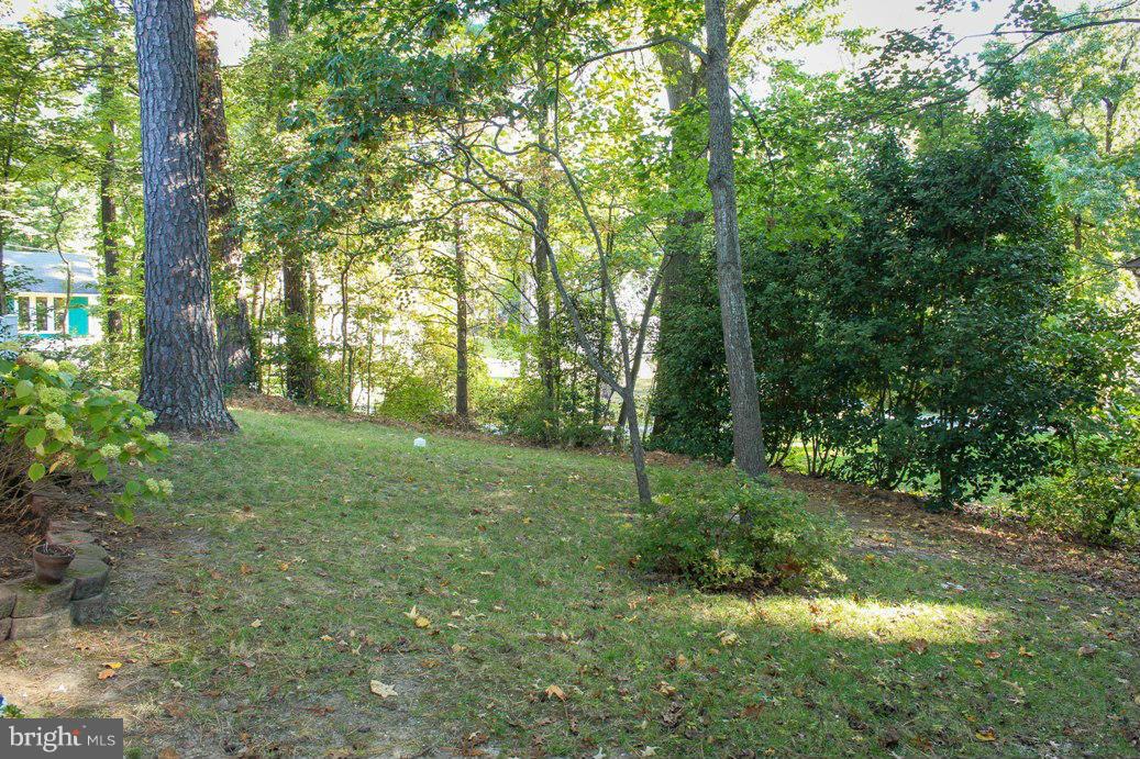 DRUM POINT - Residential