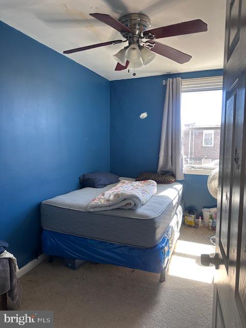 OXFORD CIRCLE - Residential