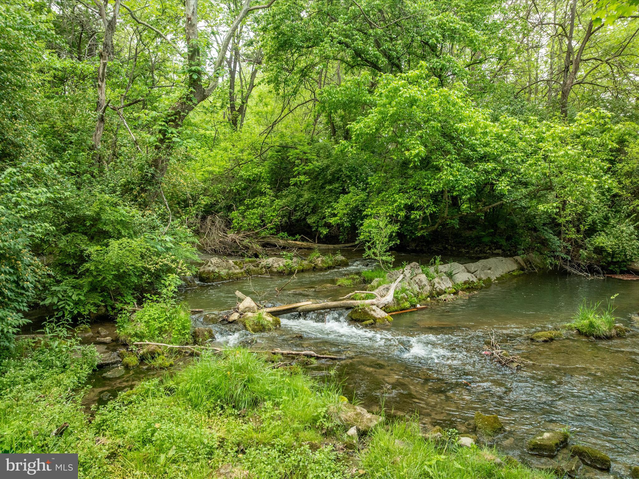 TROUT RUN - Residential