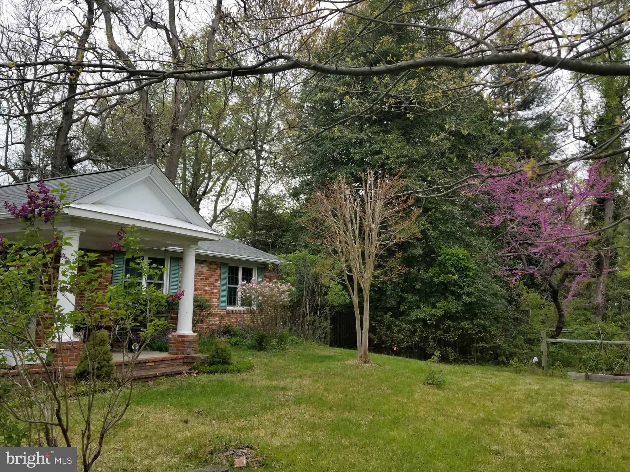 BEACON HILL - Residential