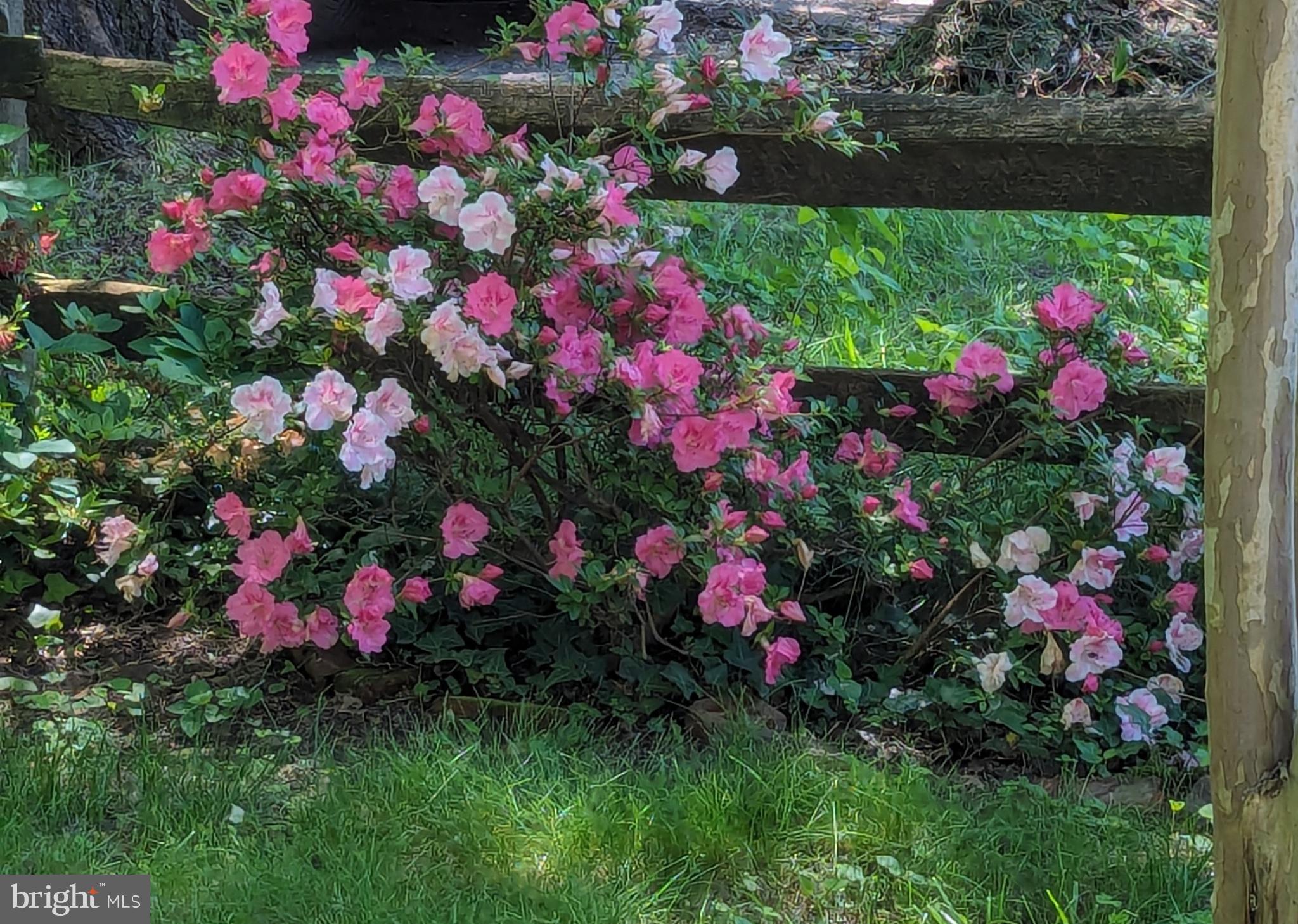 BEACON HILL - Residential