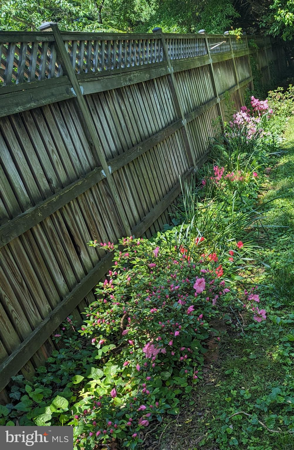 BEACON HILL - Residential