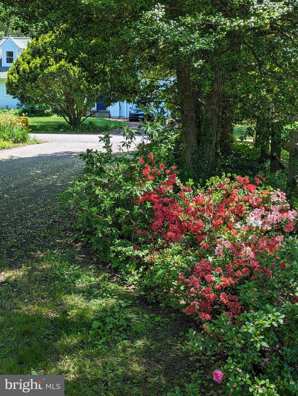 BEACON HILL - Residential