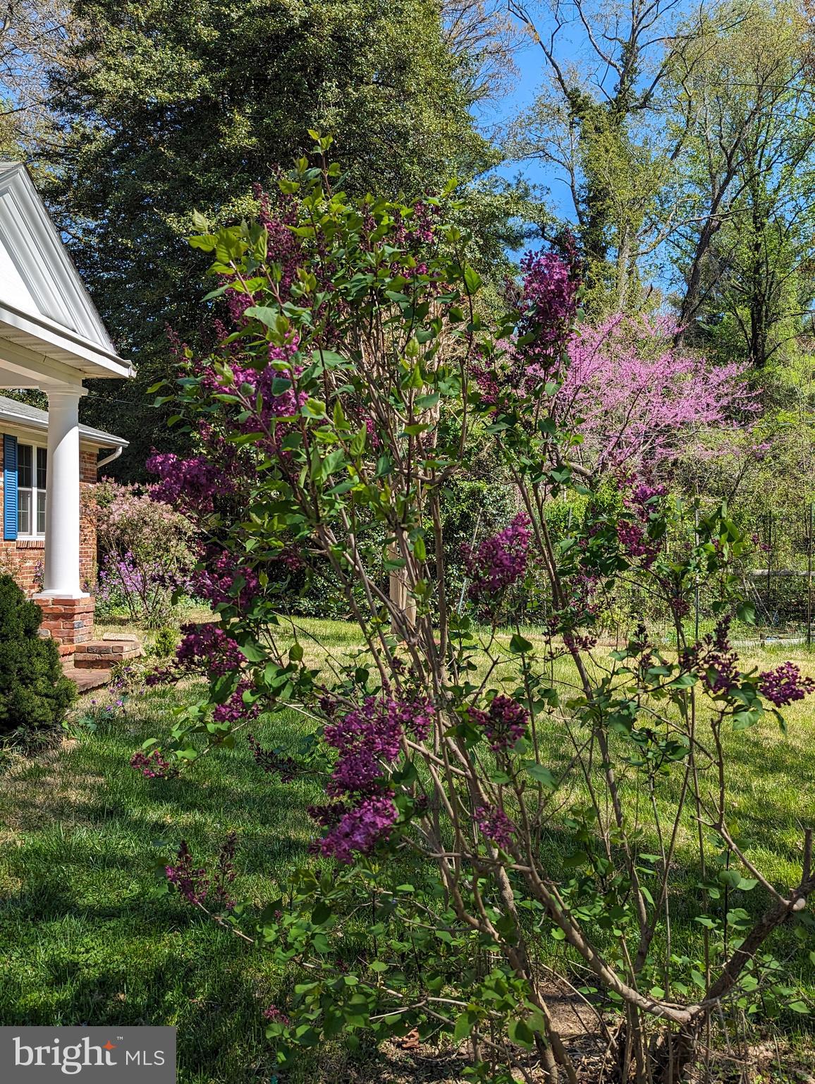BEACON HILL - Residential