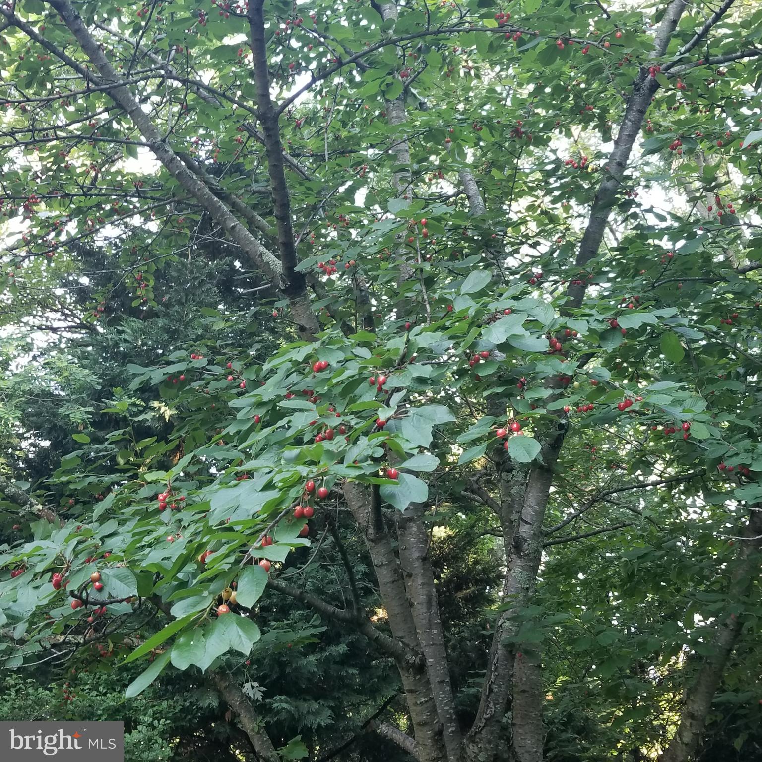 BEACON HILL - Residential