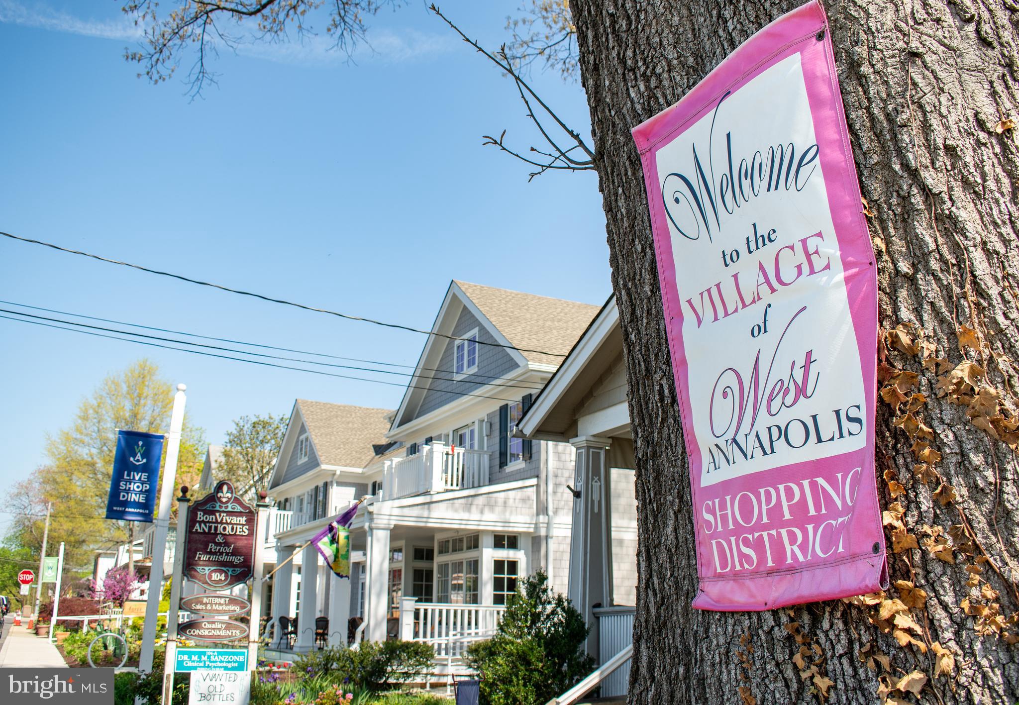 PLEASANT PLAINS - Residential