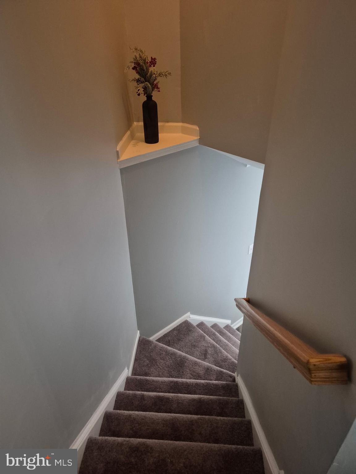 TROUT RUN - Residential Lease