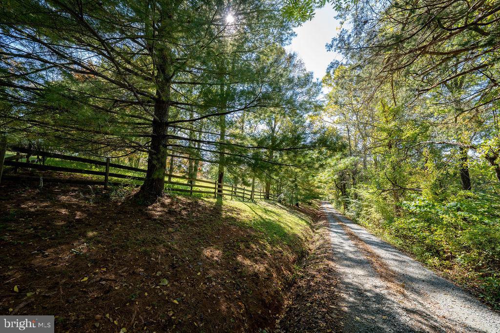 4319 SCOTTSVILLE ROAD
