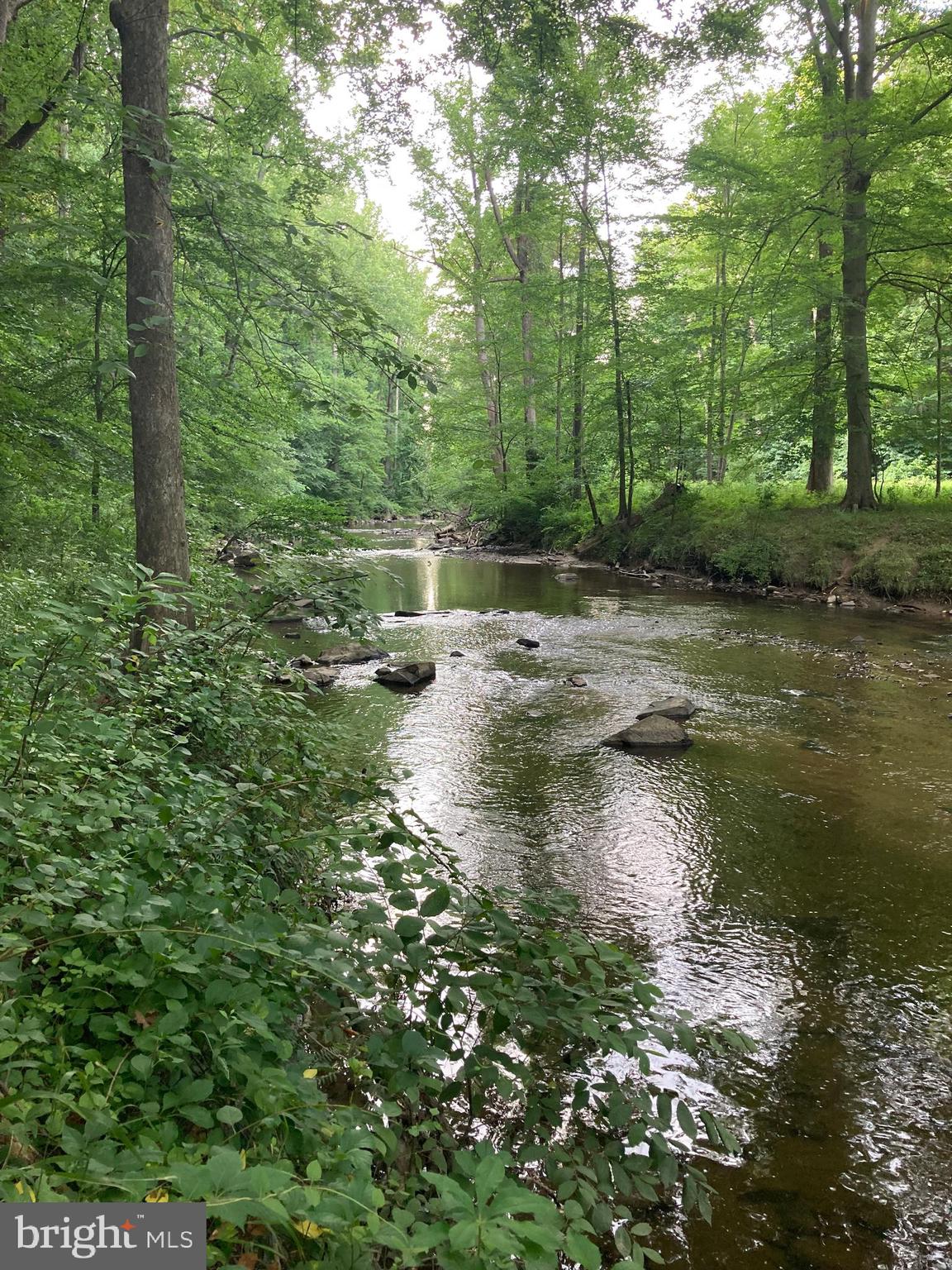 HISTORIC SAVAGE MILL - Residential