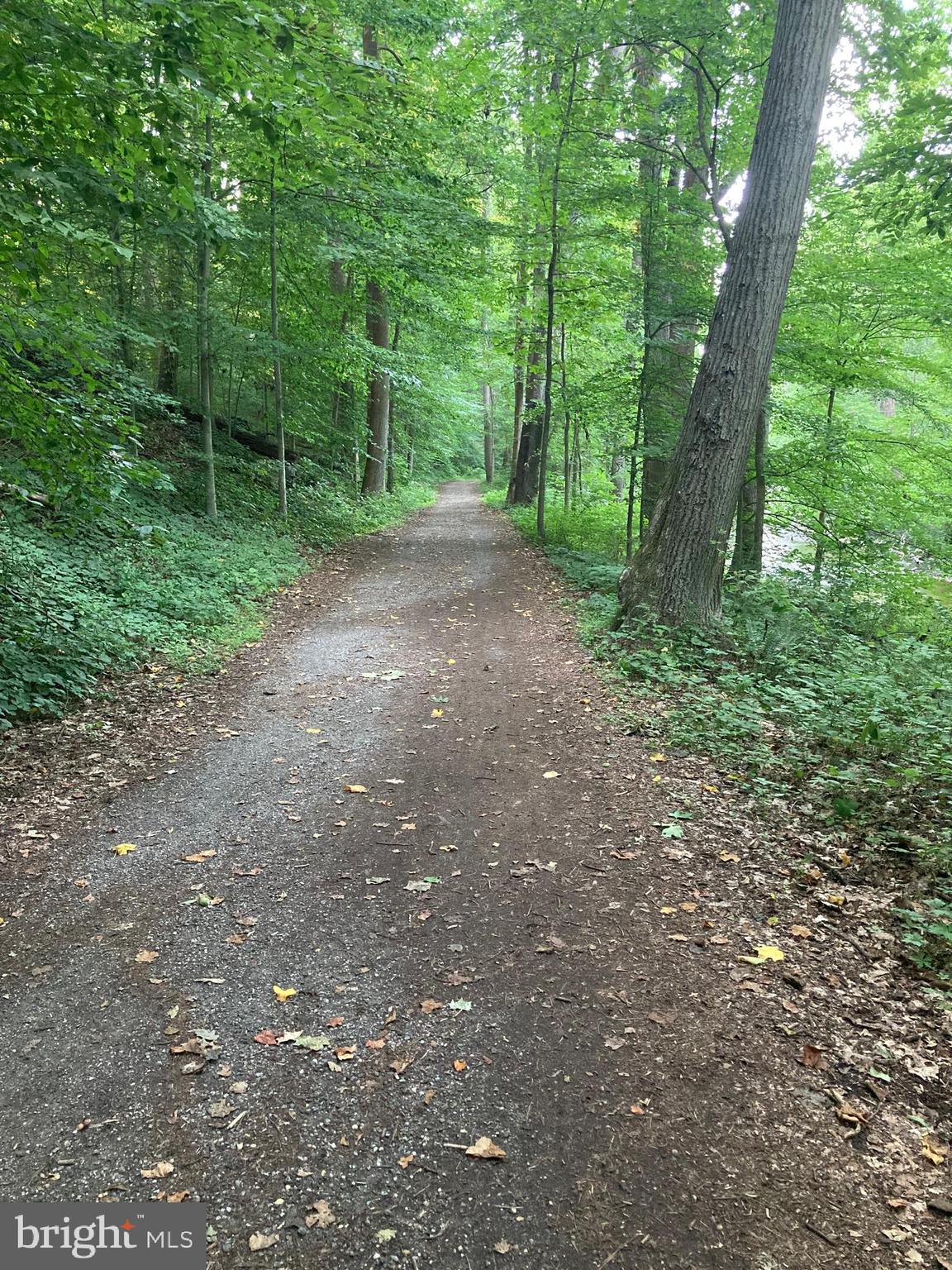 HISTORIC SAVAGE MILL - Residential