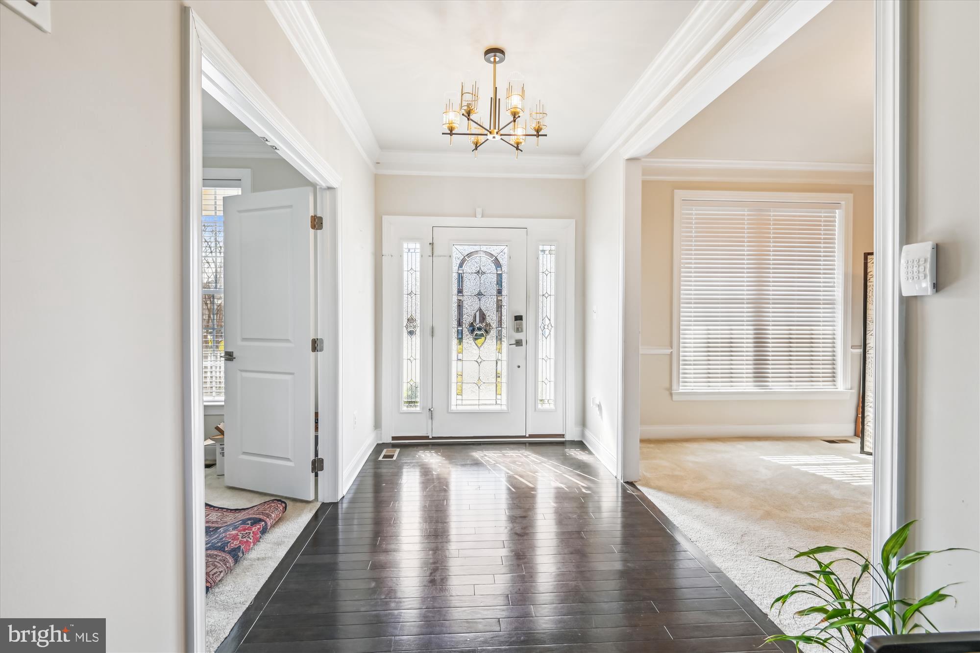 ARUNDEL FOREST - Residential