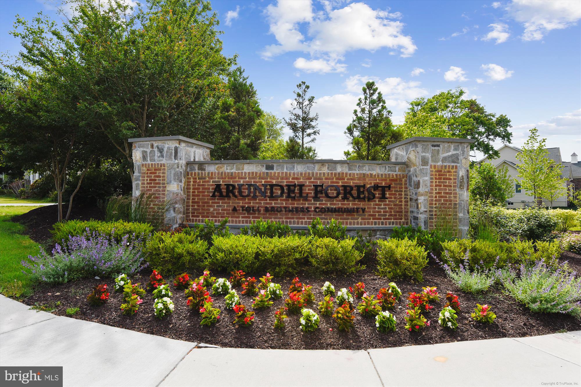ARUNDEL FOREST - Residential